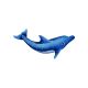 DOLPHIN RIGHT 15