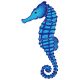SEAHORSE 10