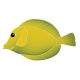 TANG FISH YELLOW – Handmade Porcelain tile designs
