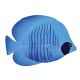 TIGER TANG FISH BLUE – Handmade Porcelain tile designs