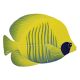 TIGER TANG FISH YELLOW – Handmade Porcelain tile designs