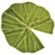 LILY PAD – Handmade Porcelain tile designs