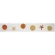 STEP MARKERS SHELLS TAN – Handmade Porcelain tile designs