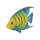 BANDED ANGELFISH Left – Handmade Porcelain tile designs