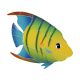 BANDED ANGELFISH Right – Handmade Porcelain tile designs