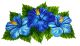 HIBISCUS TRIO – Handcut Glass Tile Designs | Decorative Mosaic for Wall, Pool & Spa