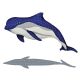 BOTTLENOSE DOLPHIN UPWARD WITH SHADOW – Handmade Porcelain tile designs