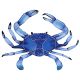 CRAB 16