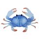 CRAB 8