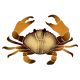 CRAB 8