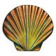 Rainbow Seashell – Fusion Accents – Handmade Porcelain Pool Mosaics