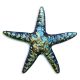 Rainbow Starfish – Fusion Accents – Handmade Porcelain Pool Mosaics