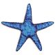 Sapphire Starfish – Fusion Accents – Handmade Porcelain Pool Mosaics