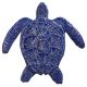 LOGGERHEAD TURTLE 6