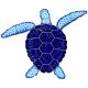 LOGGERHEAD TURTLE BLUE 8