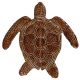 LOGGERHEAD TURTLE 6