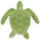 LOGGERHEAD TURTLE 6