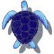 LOGGERHEAD TURTLE SHADOW BLUE 16