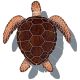 LOGGERHEAD TURTLE SHADOW BROWN 16