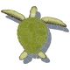 LOGGERHEAD TURTLE SHADOW GREEN 21 x 26