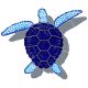 LOGGERHEAD TURTLE SHADOW BLUE 9