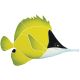 LONG NOSED BUTTERFLYFISH – Handmade Porcelain tile designs