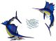 SAILFISH GROUP 66