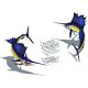 SAILFISH GROUP SHADOW 74