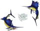 SAILFISH GROUP 36