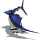SAILFISH RIGHT WITH SHADOW 56