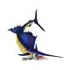 SAILFISH RIGHT 27