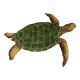 SEA TURTLE NATURAL 23