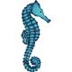 SEAHORSE 6