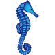 SEAHORSE 6