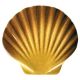SEASHELL TAN – Handmade Porcelain tile designs