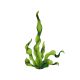 SEAWEED 16