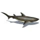 SHARK WITH SHADOW – Handmade Porcelain tile designs