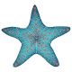 STARFISH 10