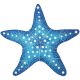 STARFISH 10