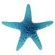 STARFISH AQUA – Handmade Porcelain tile designs