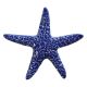 STARFISH BLUE – Handmade Porcelain tile designs