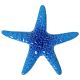 STARFISH LIGHT BLUE – Handmade Porcelain tile designs